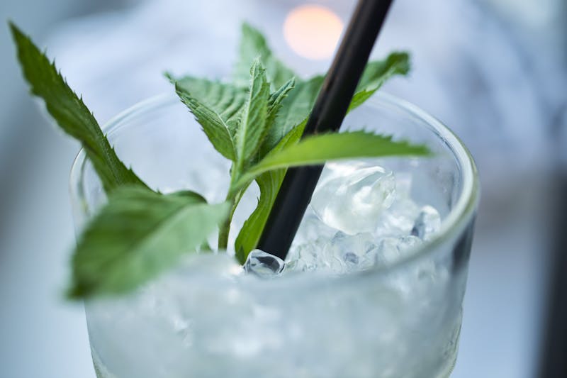 Fresh-squeezed lemonade with mint