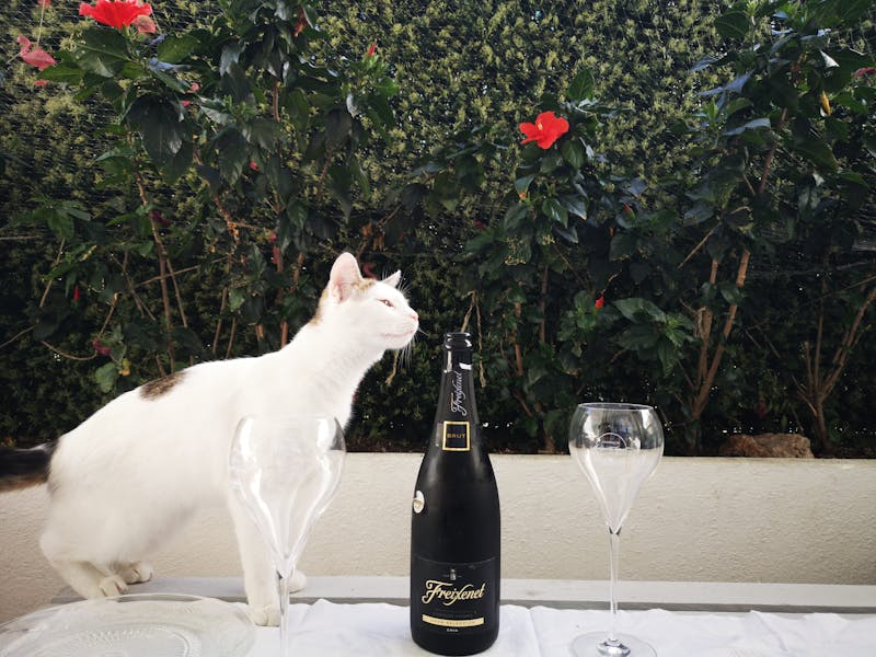 Italian sparkling water San Pellegrino